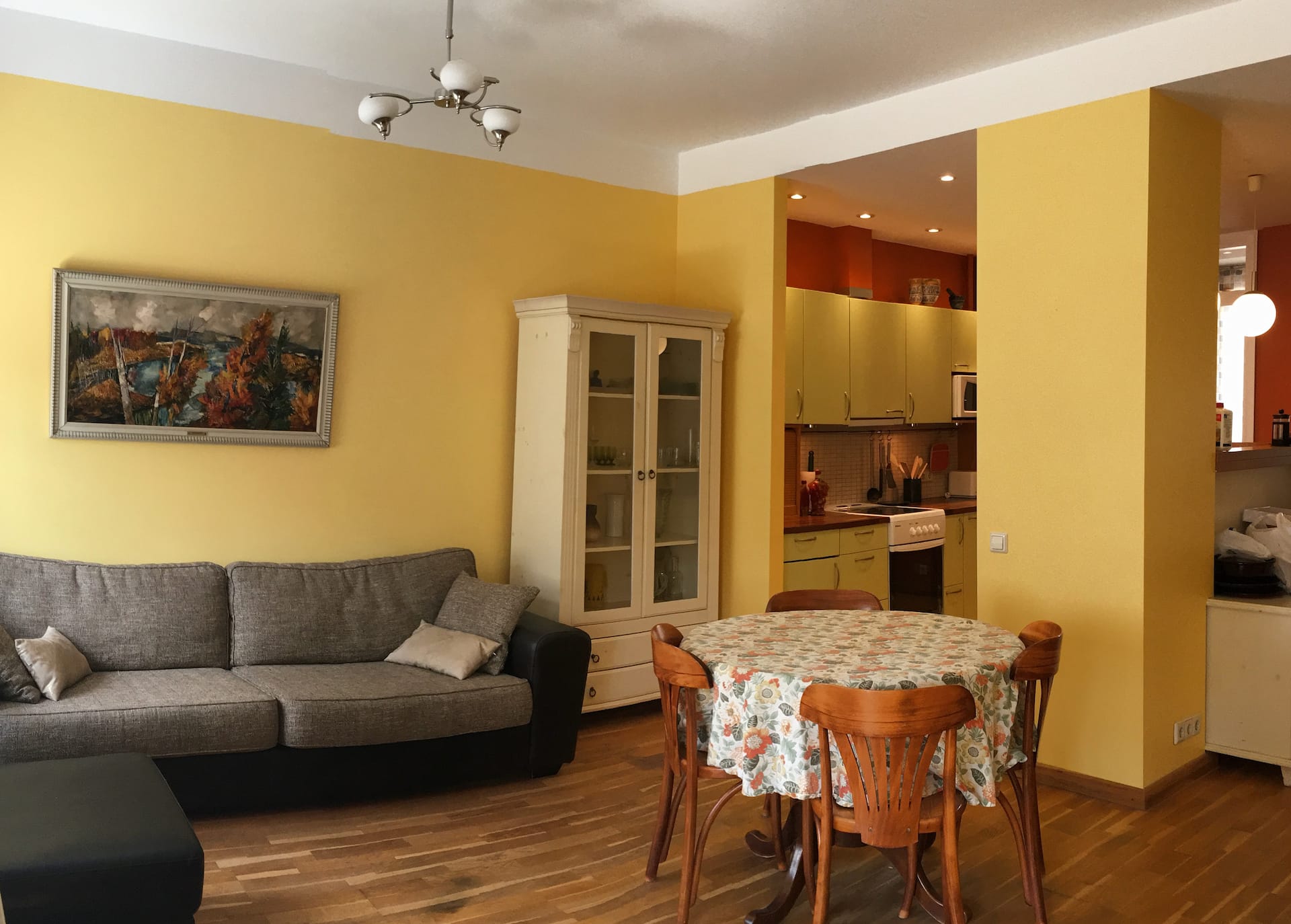 Comfortable city apartment