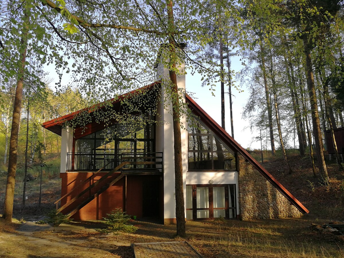 A modern two-story house is nestled among towering trees, featuring a distinctive sloped roof and large glass windows. A wooden staircase leads to the entrance, enhancing the connection to the natural surroundings. The exterior blends rustic stone and smooth walls, creating a harmonious aesthetic.