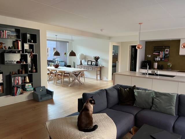 Rummelig, moderne 3V lejlighed, tæt ved vandet