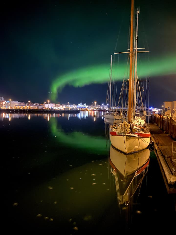A closer look at Waterfront Penthouse Apartments In Iceland