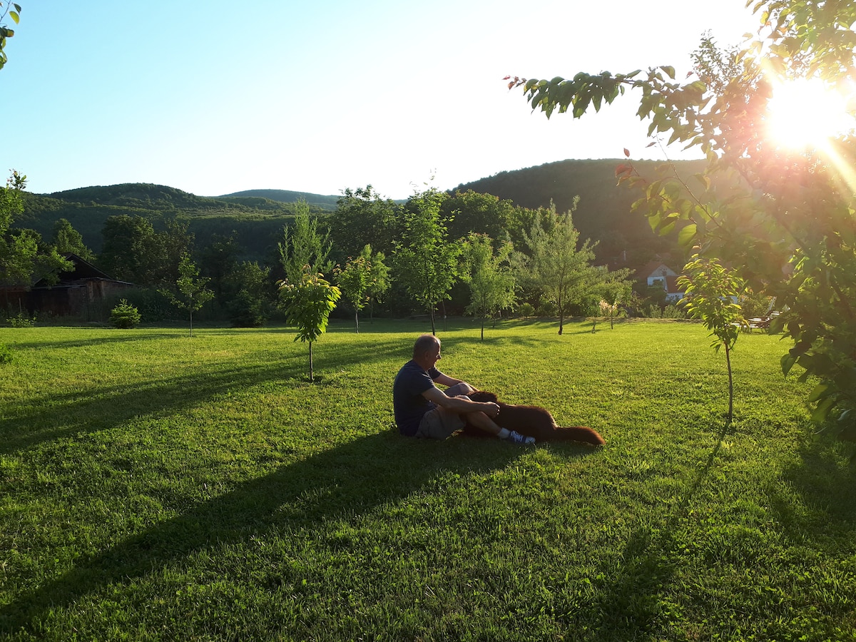 A serene outdoor space is highlighted by a lush green lawn dotted with young trees. The sun sets in the background, casting warm light over the scene, creating long shadows on the grass. Rolling hills are visible in the distance.