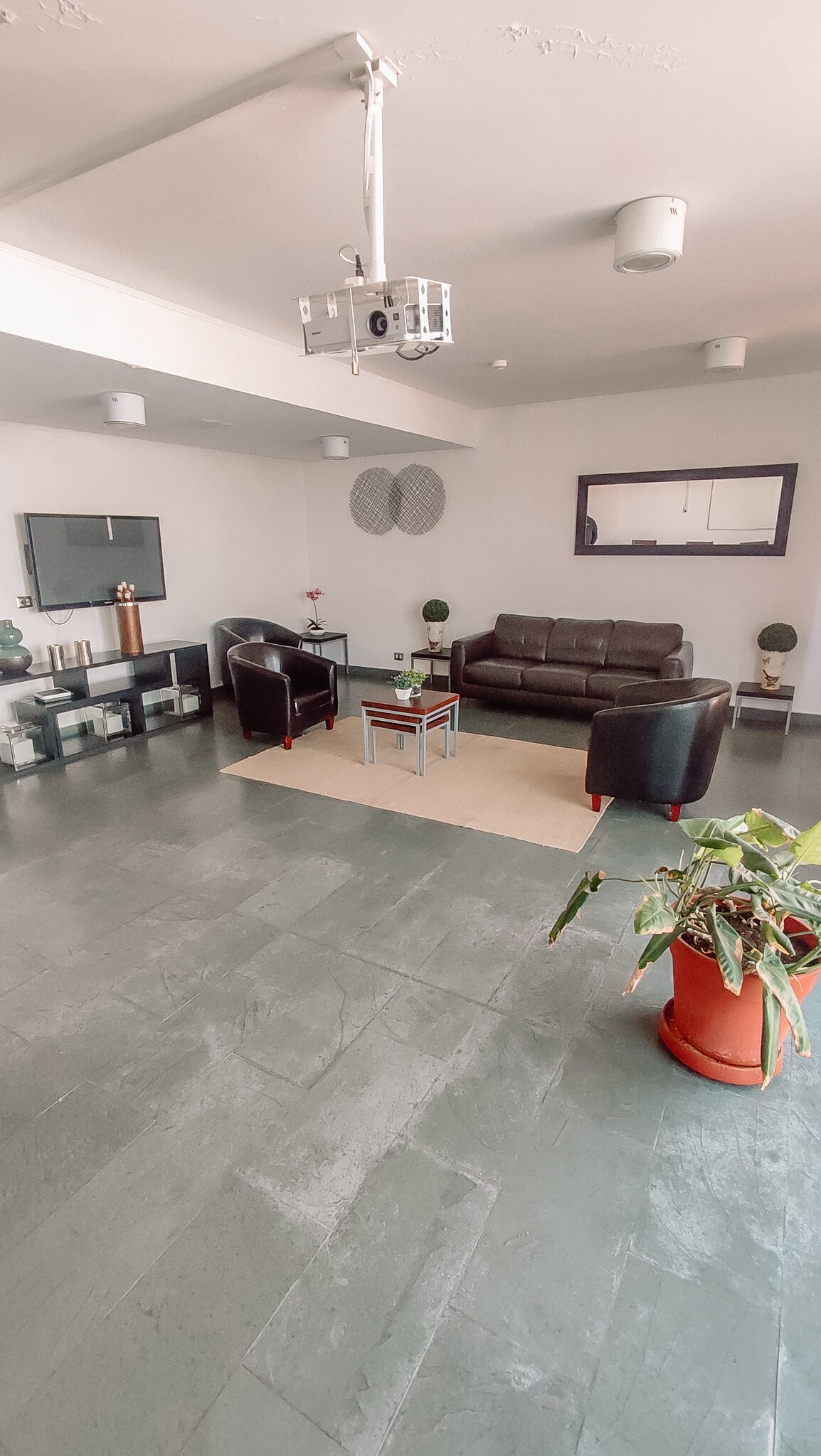 A modern living area features a leather sofa and two armchairs arranged around a small coffee table. A flat-screen TV is mounted on the wall, and a projector is installed on the ceiling. A potted plant adds a touch of greenery to the space.