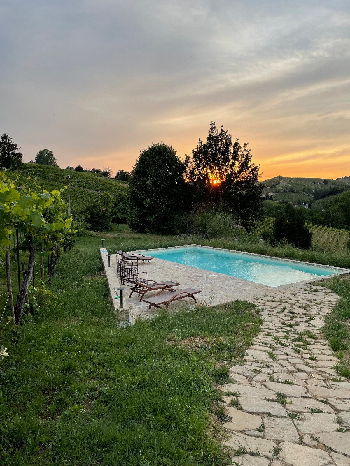 A serene salt-water pool is surrounded by lush greenery, with comfortable loungers positioned nearby. The sun sets in the background, casting a warm glow over the peaceful landscape of rolling vineyards and trees.