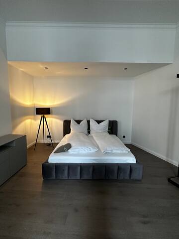 Sigmund FREUD – City Apartment Downtown Vienna gallery image 5