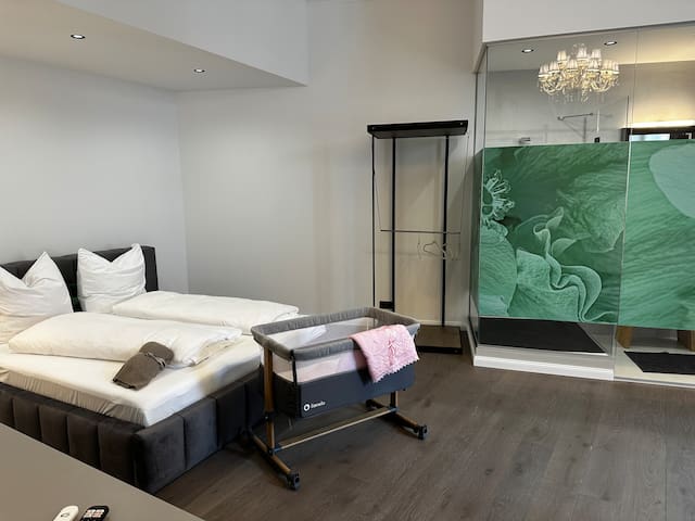 Sigmund FREUD – City Apartment Downtown Vienna