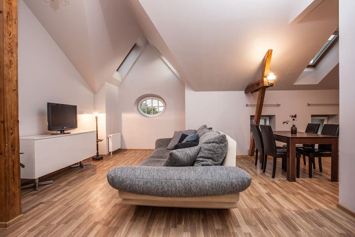 Cozy Mansard Apartment in Riga