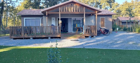 The Haven of Serenity