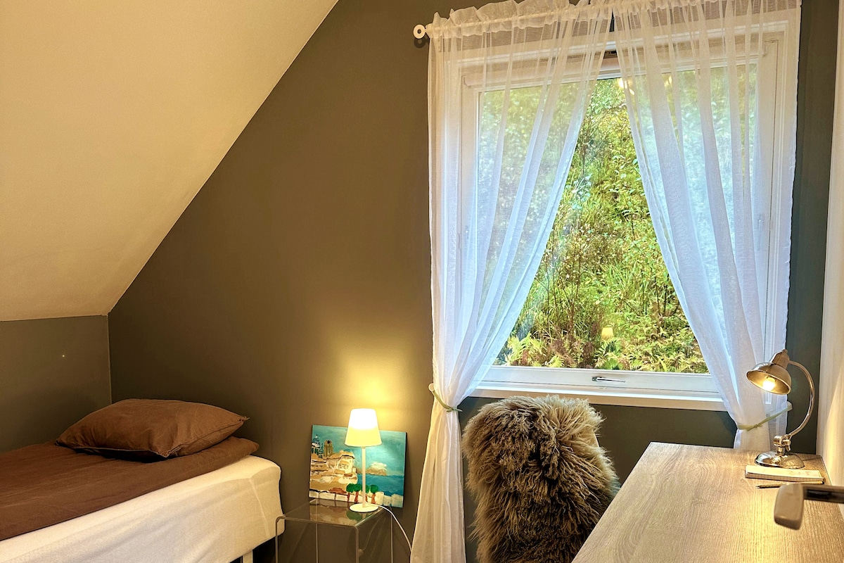 Newly renovated single bedroom with a desk if you have work to do online or have a novel to write.. 