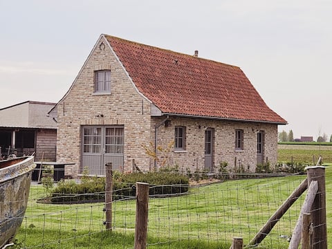 On land, NEW