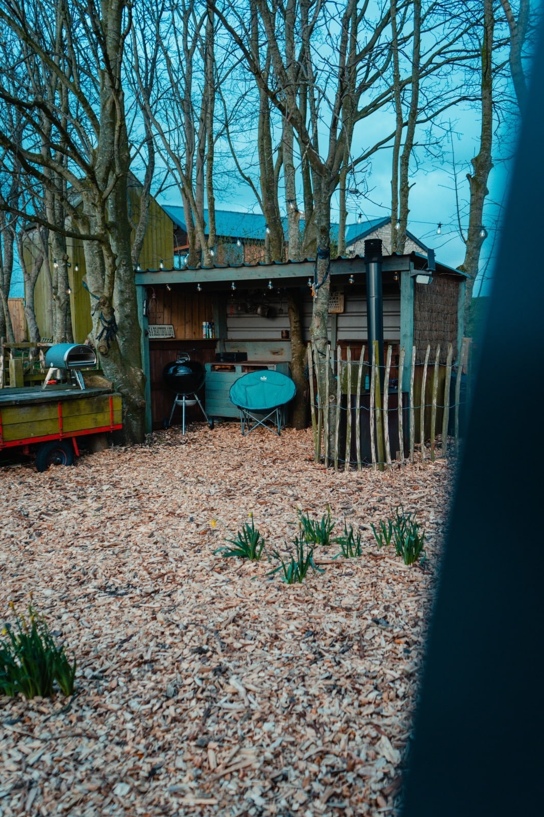An outdoor area is filled with wood chips, surrounding a small wooden structure nestled between trees. A grill and blue seating are visible beside a table. Decorative lights hang above, and green shoots are emerging from the ground, hinting at spring growth.