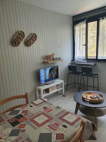 Entire home with Studio bedrooms in Besse Et Saint Anastaise - studio 4 personnes