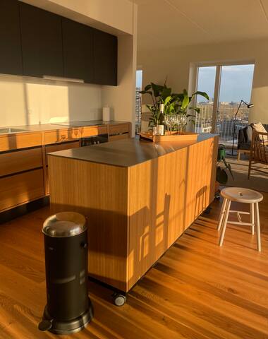 Luksuslejlighed Islands Brygge direkte til vandet gallery image 4