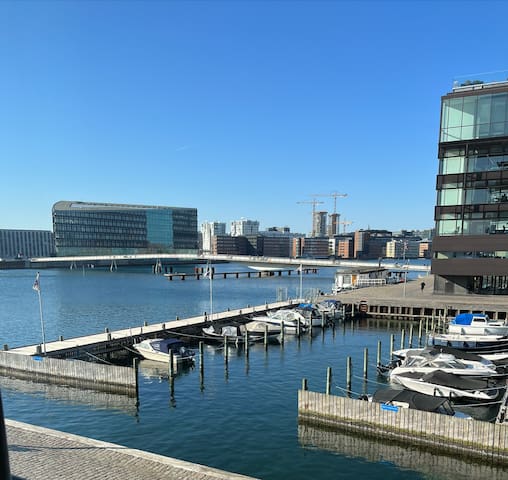 Enjoy Copenhagen Harborfront gallery image 2