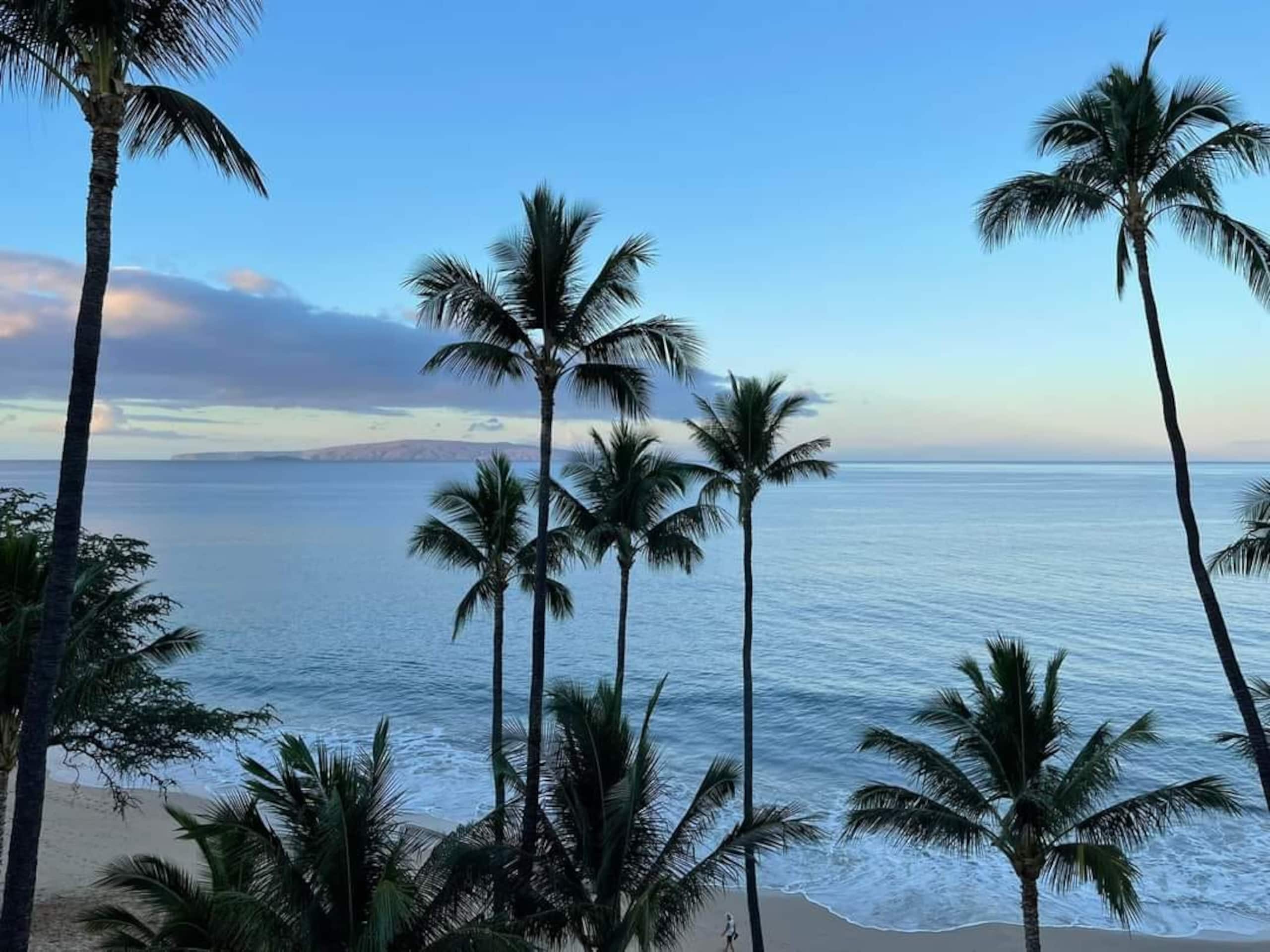 Condo in Kihei · ★5.0 · 1 bedroom · 2 beds · 1 bath - Image 49