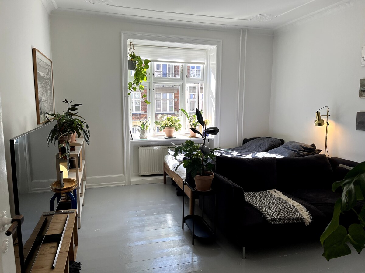 Спалня/всекидневна