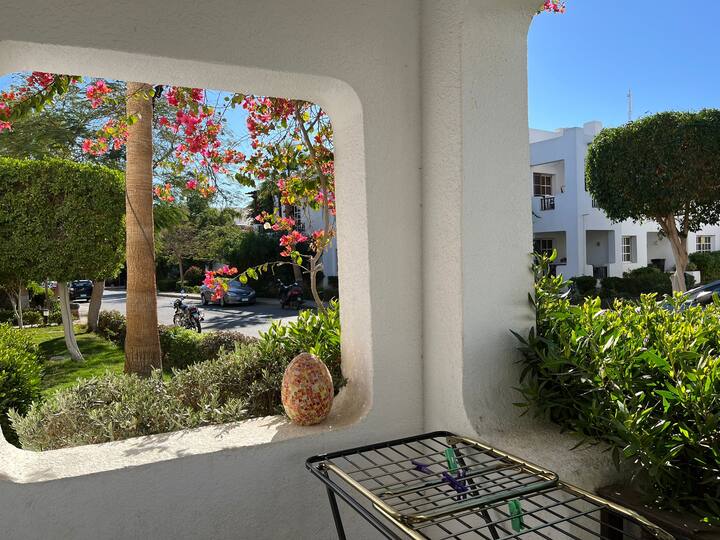 Siwa Oasis Apartment Vacation Rentals Marsa Matrouh Governorate, Egypt Airbnb