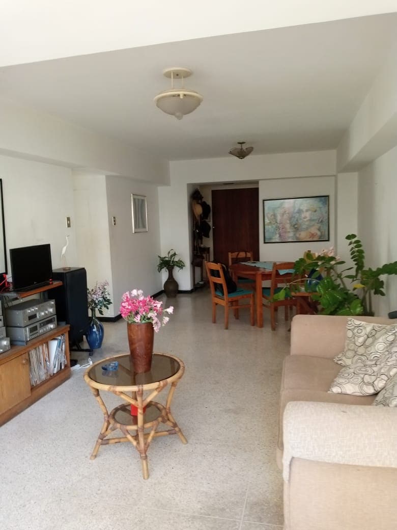 A spacious living area features a comfortable sofa complemented by decorative pillows. A round coffee table adorned with a vase of flowers sits in front of the sofa. Nearby, a dining table with chairs is visible, surrounded by various houseplants that add a touch of greenery.