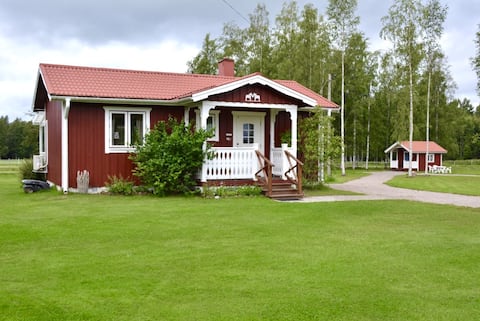 Red Cabin with white knots