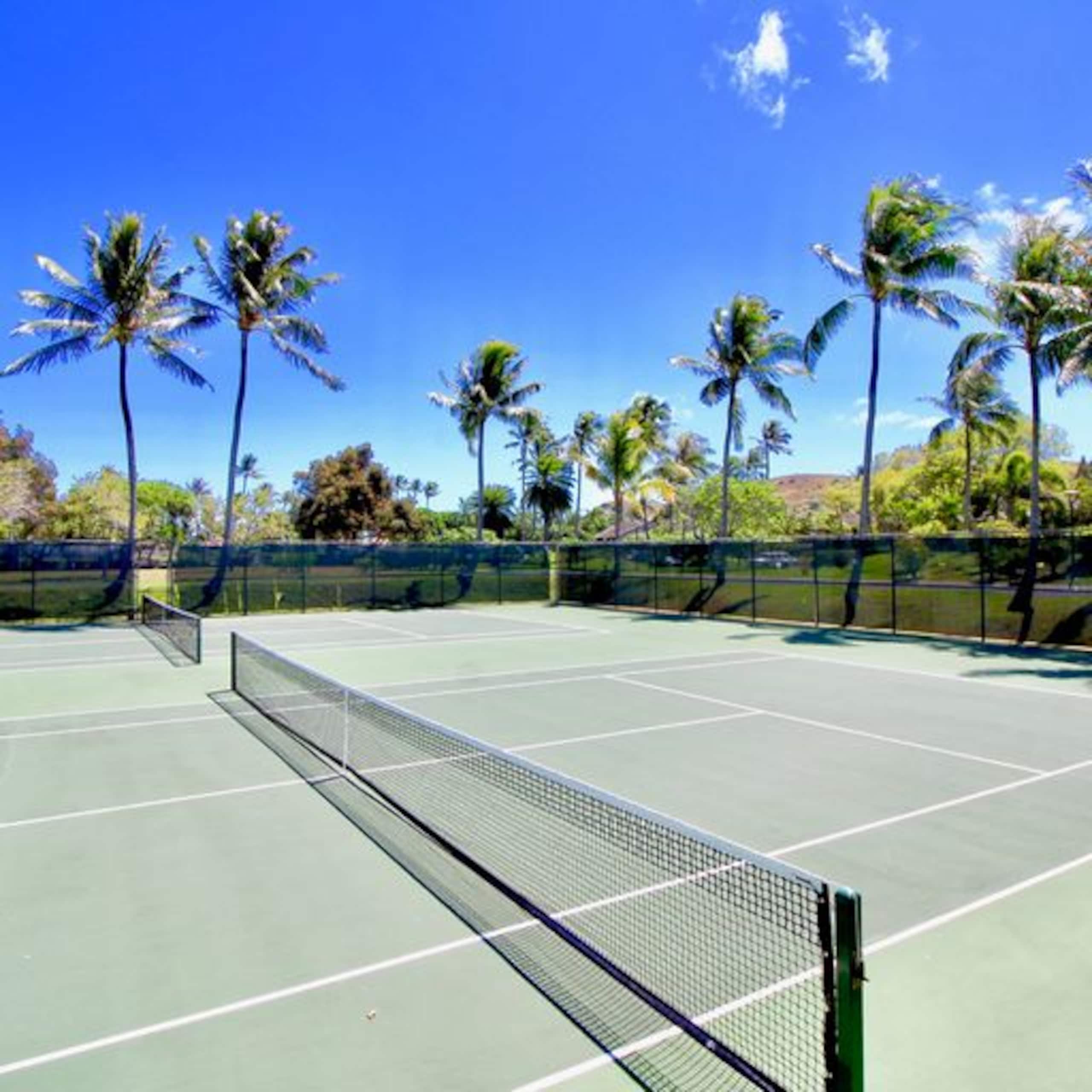 Happy Hawaiian Home - Image 2