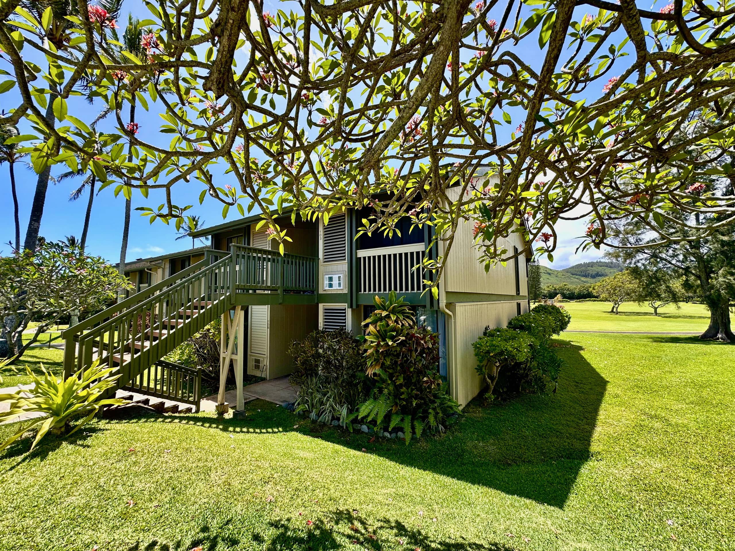 Happy Hawaiian Home - Image 4