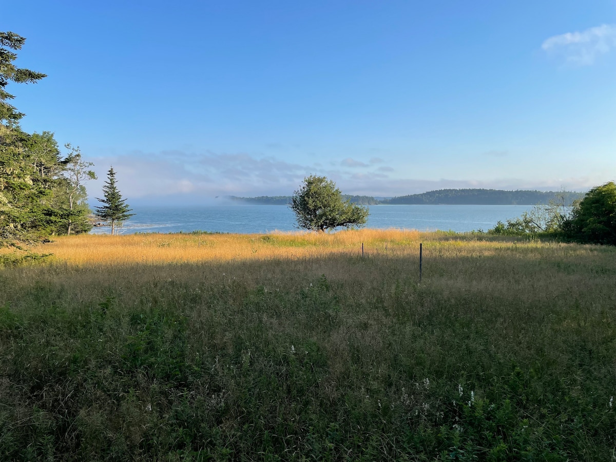 An expansive view of a serene coastal landscape is captured, featuring a gently swaying field of tall grasses. The blue water glistens under clear skies, with trees dotting the horizon and a mist hovering over the distant shoreline.