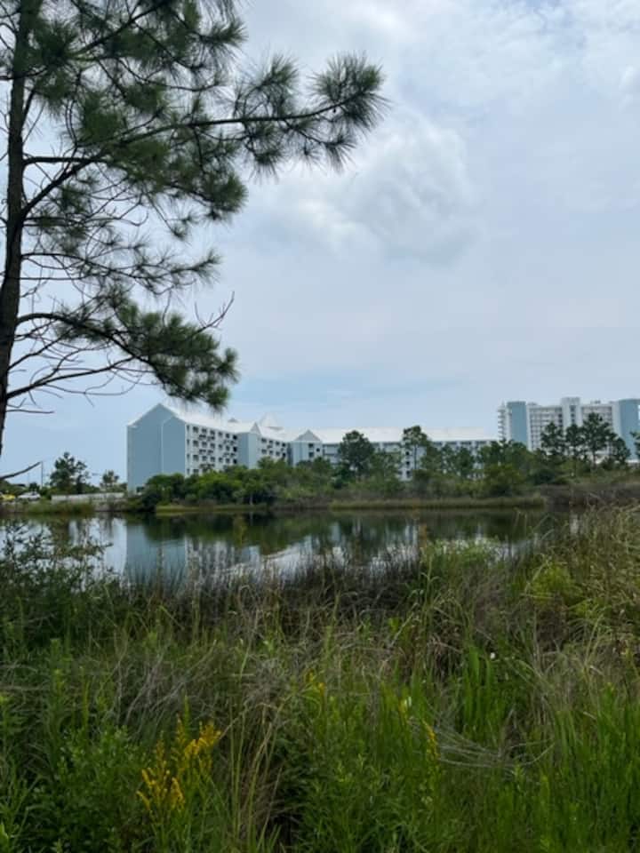 Best of both worldsMonthly discounts Apartments for Rent in Orange