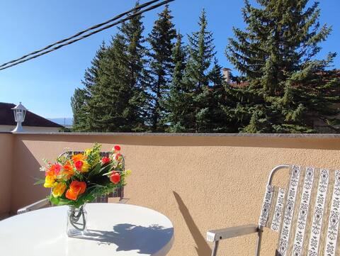 Apartman Bor