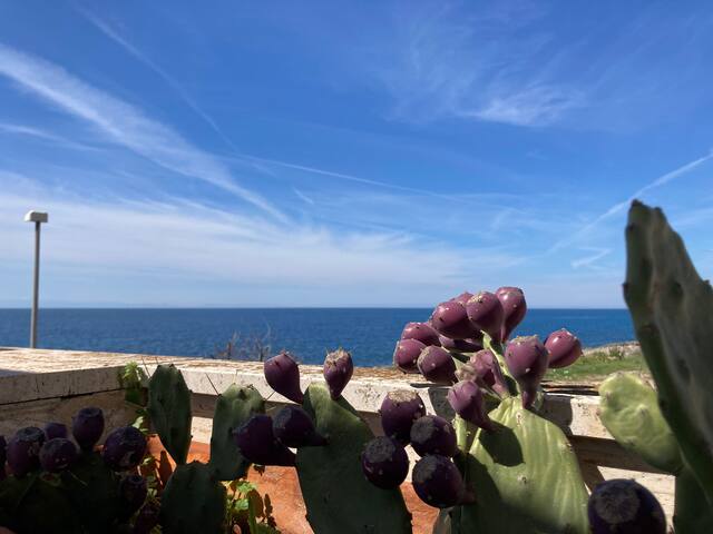 Villa Mantea gallery image 4