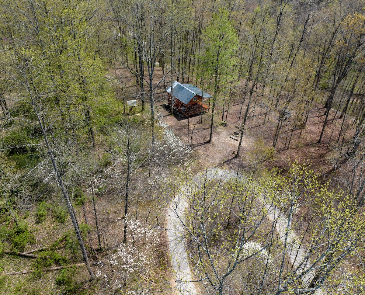 An aerial view captures Dogwood Cabin nestled among lush green trees. The circular driveway leads to the cabin, with a fire ring visible nearby. A gentle gradient of foliage shades the ground, showcasing the natural surroundings and tranquility of this off-grid retreat.