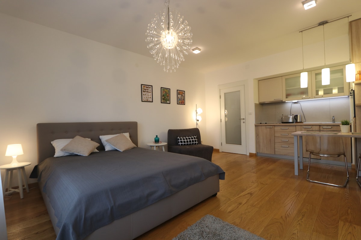The spacious studio features a comfortable double bed with soft pillows, a modern coffee table, and a foldable armchair. Natural light fills the room, highlighting the decorative chandelier and artwork on the walls. A functional kitchen area is visible, equipped with essential appliances.