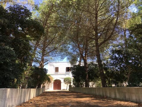 Masseria Paladini - first floor