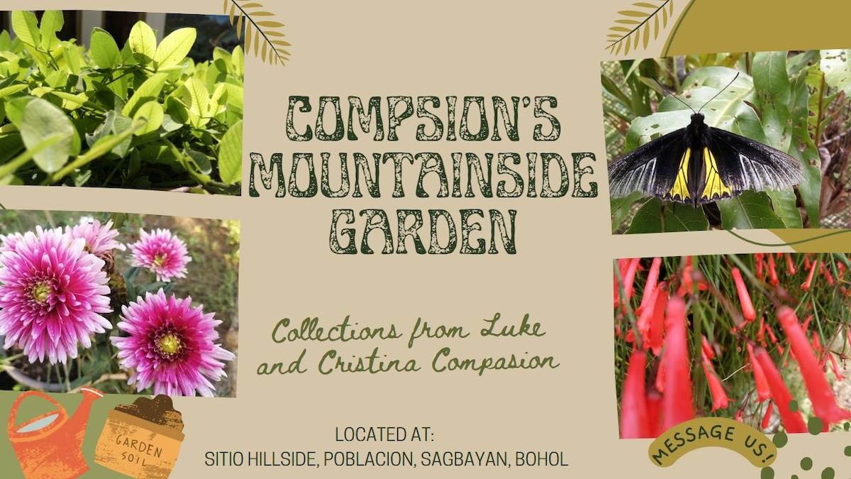 A collage of nature showcases vibrant flowers, including pink daisies and trumpet-shaped red blooms. A black butterfly, with striking yellow accents, is perched delicately on a leaf. The garden environment is enriched by lush greenery, creating a serene and inviting atmosphere.