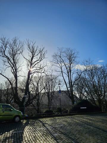 Stylish Georgian city unit gallery image 3