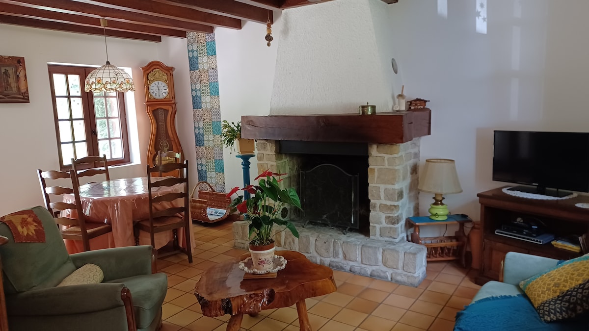 A living area features a stone fireplace as a central focal point, surrounded by wooden beams. A dining table with wooden chairs is set nearby. A green armchair and wooden coffee table add to the seating options, complemented by a small television and decorative plants.