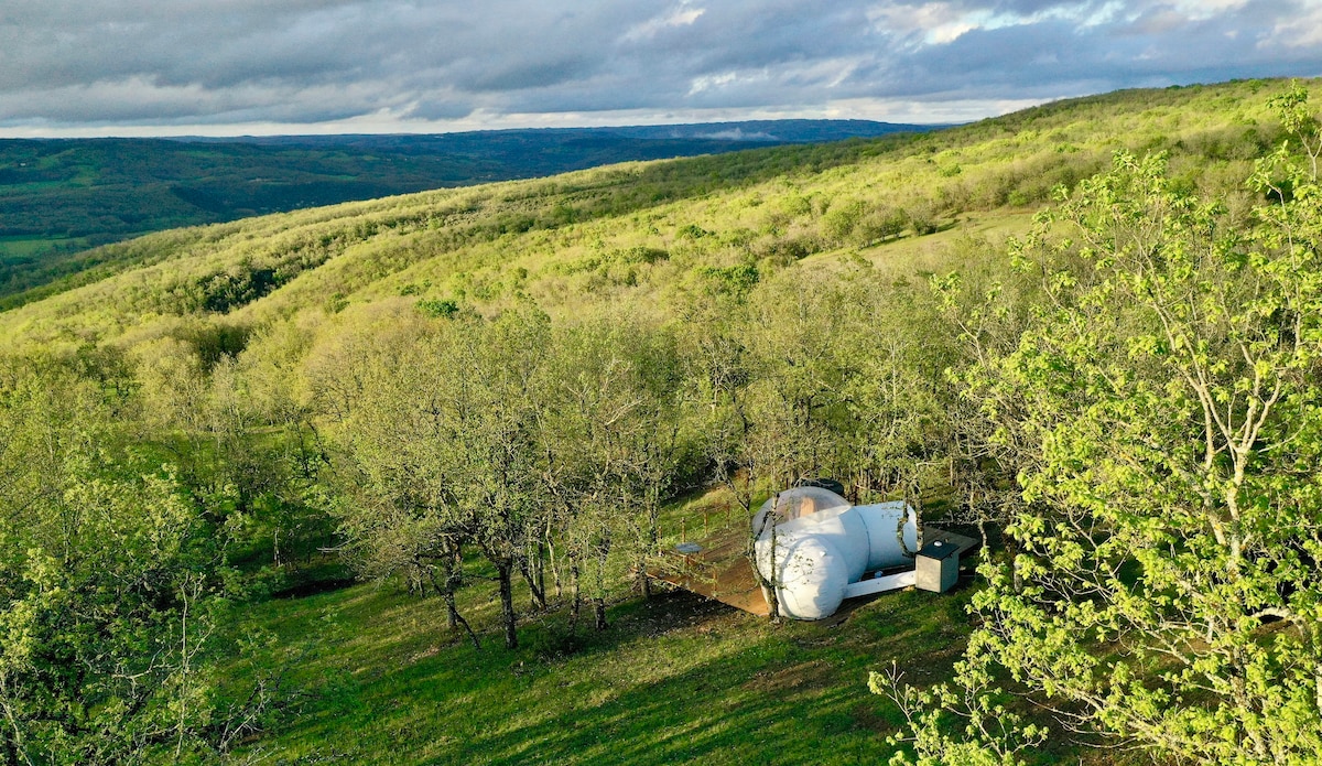 A spacious bubble accommodation is nestled among lush greenery, surrounded by trees and rolling hills. The elevated terrace offers panoramic views of the valley, creating a secluded and tranquil atmosphere for guests.