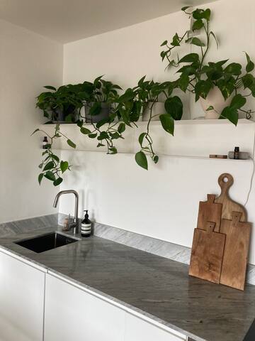 Bright 4 bed in Dublin 4; near RDS Aviva & 3Arena gallery image 3