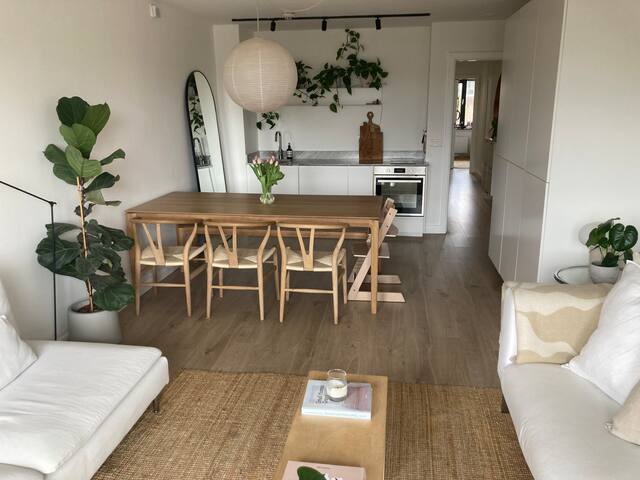 Bright 4 bed in Dublin 4; near RDS Aviva & 3Arena gallery image 2