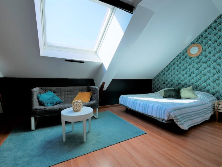 Habitación 1