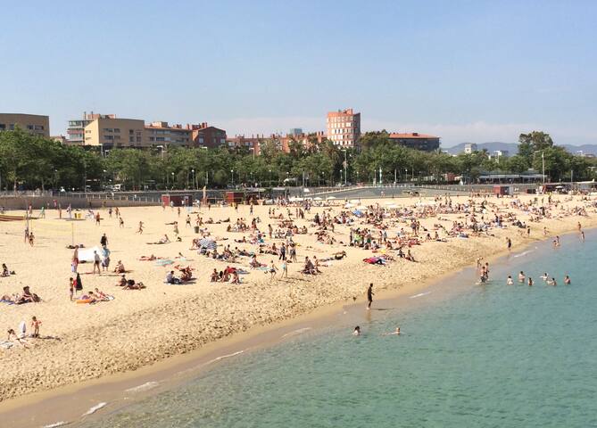 Beautiful apartment in Barcelona beach