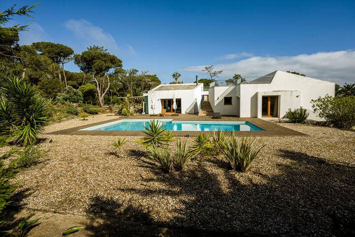 theguesthouse > Areais Beach Villa