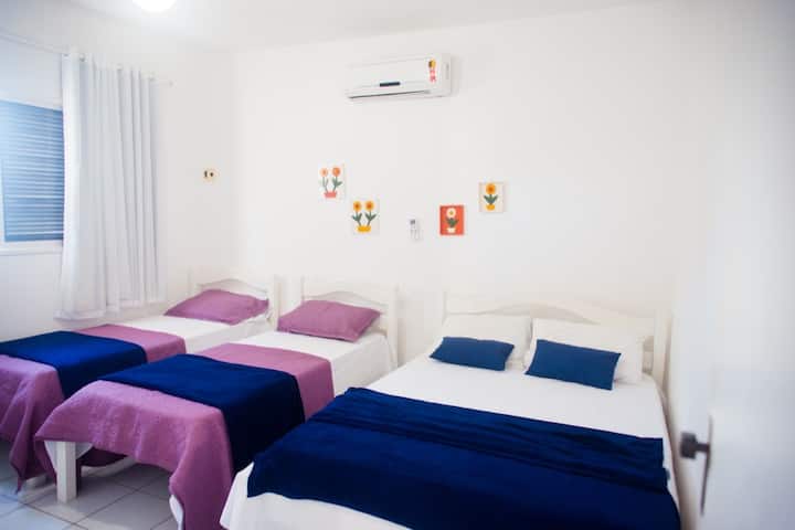 Suite 02