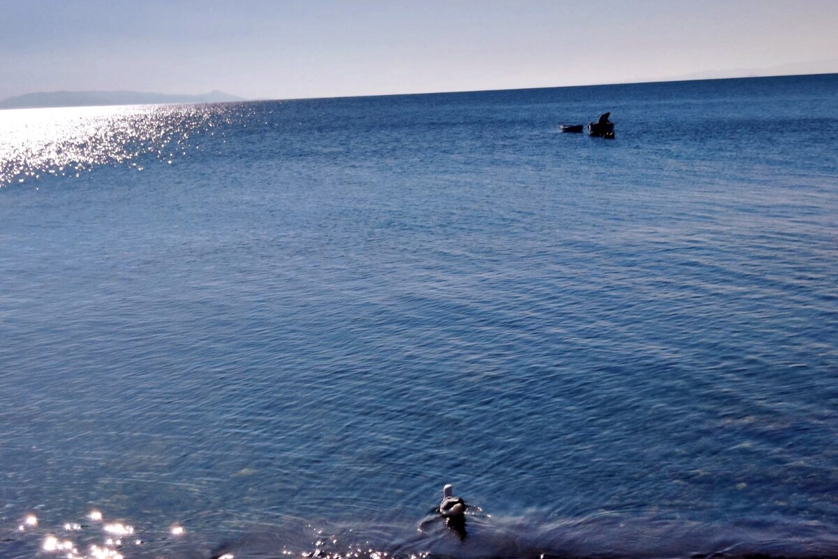 The calm water stretches into the horizon, reflecting sunlight and creating a shimmering effect. A small boat is visible in the distance, while a solitary bird is perched along the water's edge, enhancing the tranquil coastal scene.