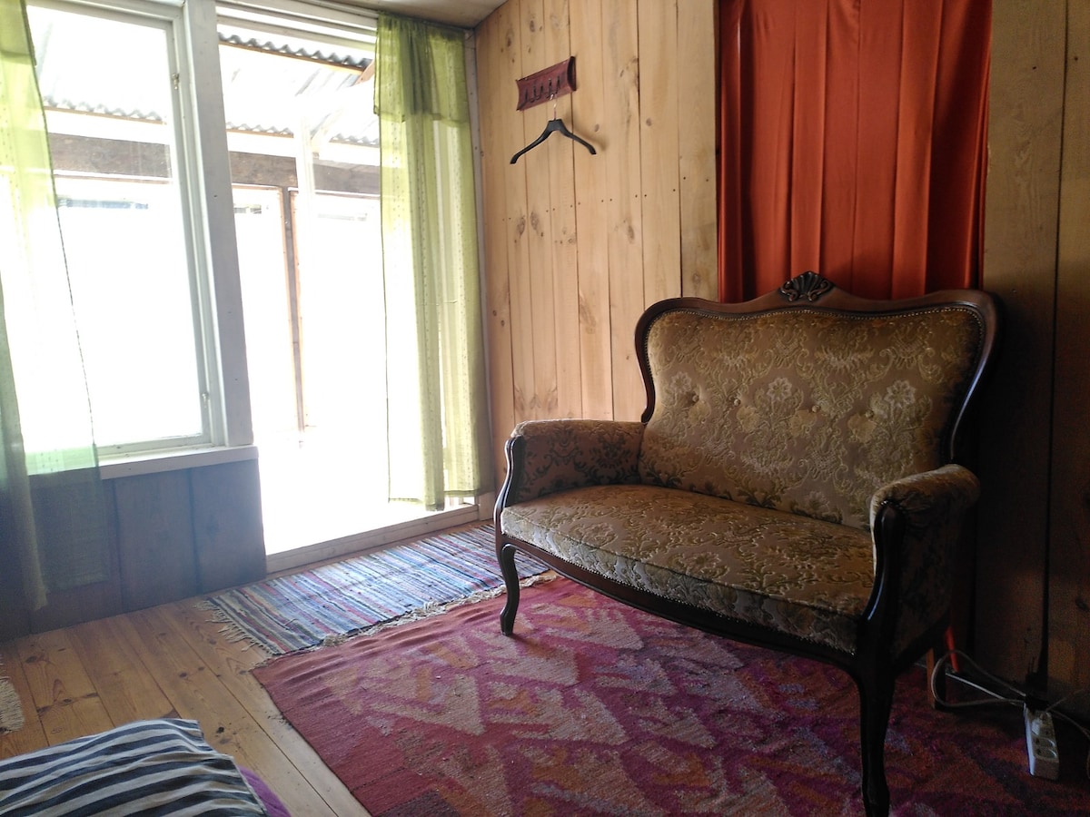 A vintage sofa with an ornate design occupies a corner of the room, accompanied by a patterned area rug. Natural light enters through a large window, which is framed by sheer green and orange curtains. The wooden walls add warmth to the space.