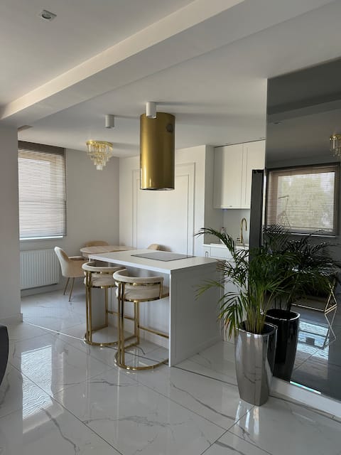 Successful Airbnb property: Park Okulickiego Apartment in Częstochowa