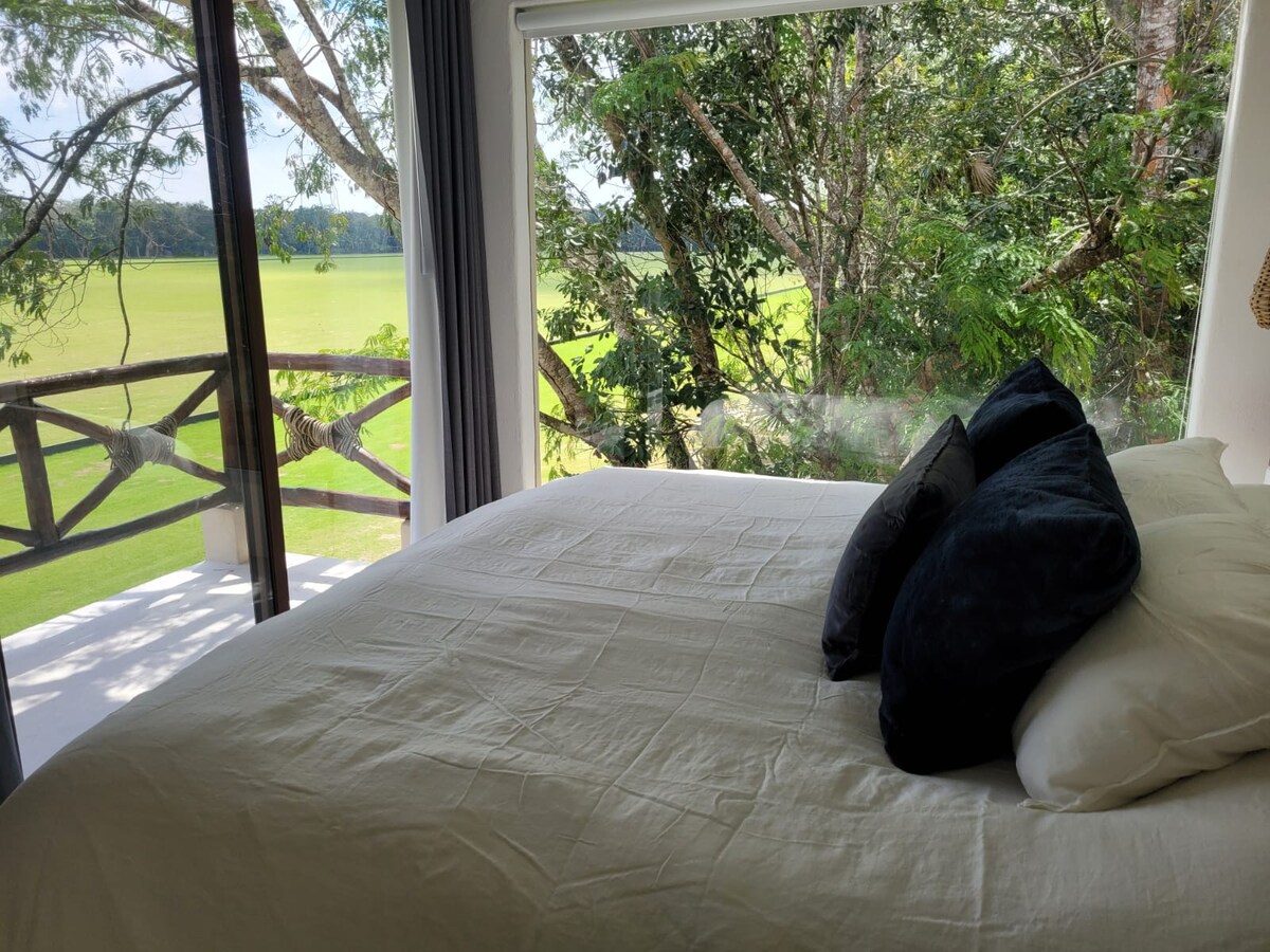 A spacious bed is positioned near a large window that offers a view of the lush greenery outside. The room features decorative pillows arranged on the bed, with natural light flooding in, creating a bright and airy atmosphere.