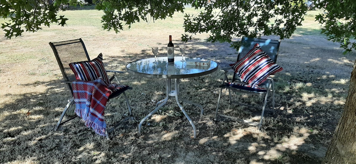 A glass table is complemented by two chairs, each adorned with striped cushions and a cozy blanket. A bottle of wine and two glasses sit on the table, all situated beneath a shady tree in an open outdoor area.