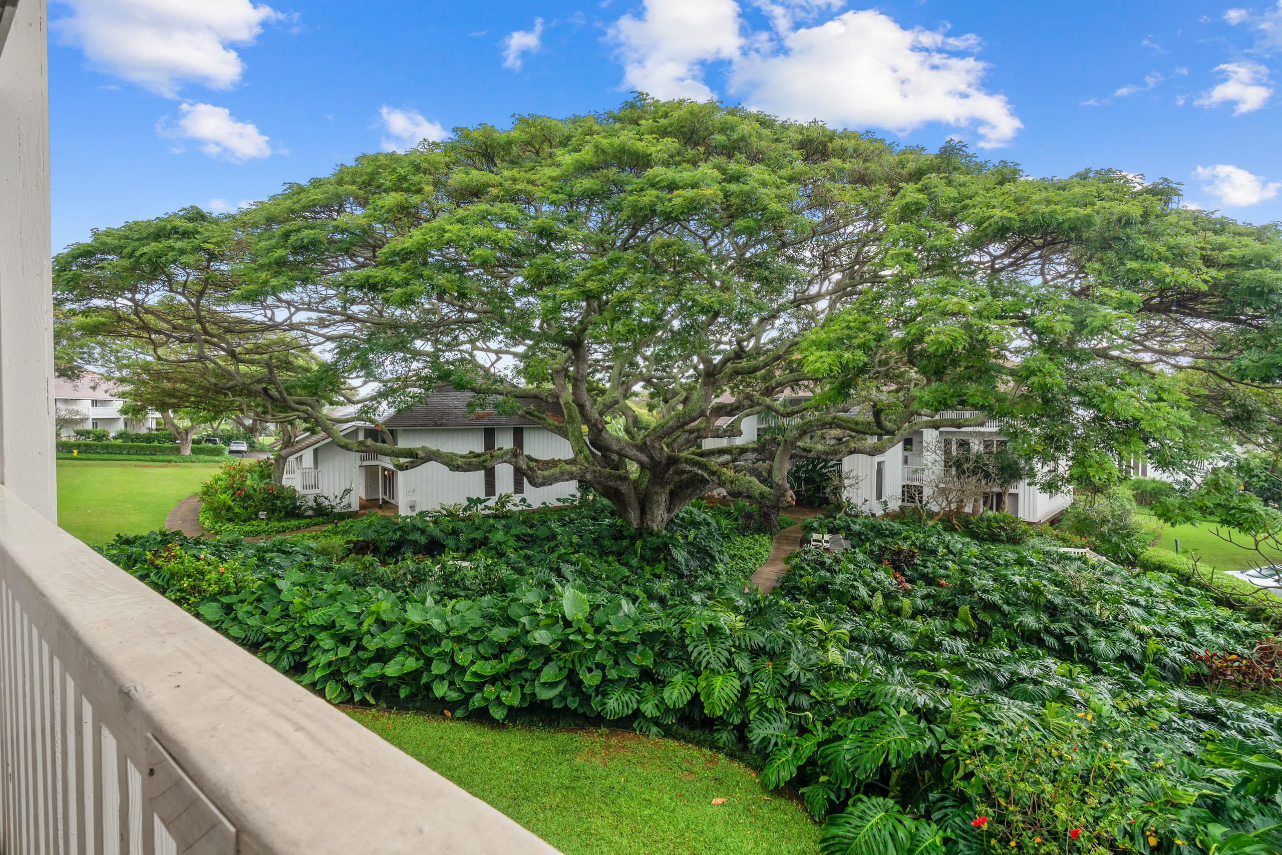 Condo in Koloa · ★4.87 · 2 bedrooms · 4 beds · 3 baths - Photo 29