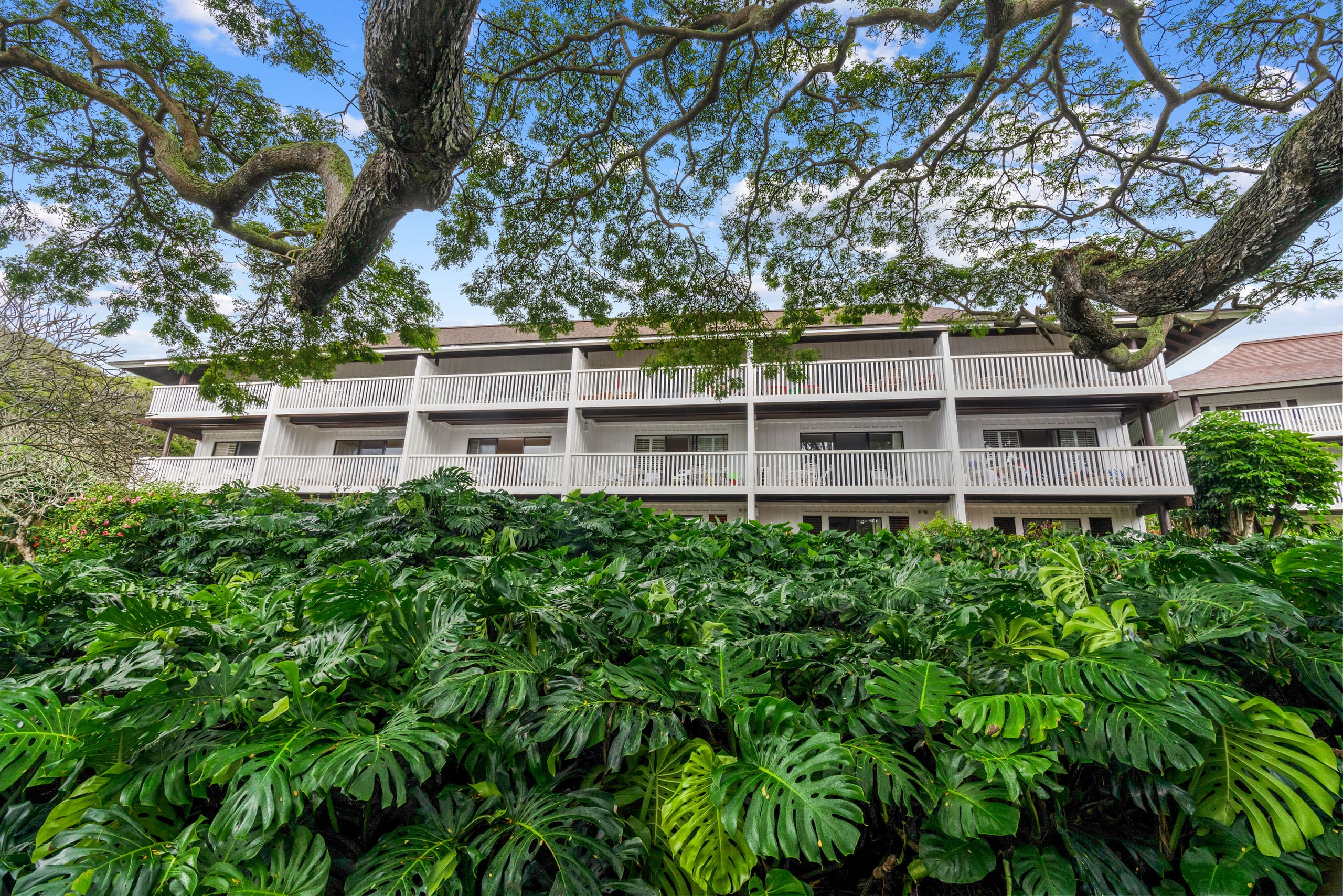Condo in Koloa · ★4.87 · 2 bedrooms · 4 beds · 3 baths - Photo 32