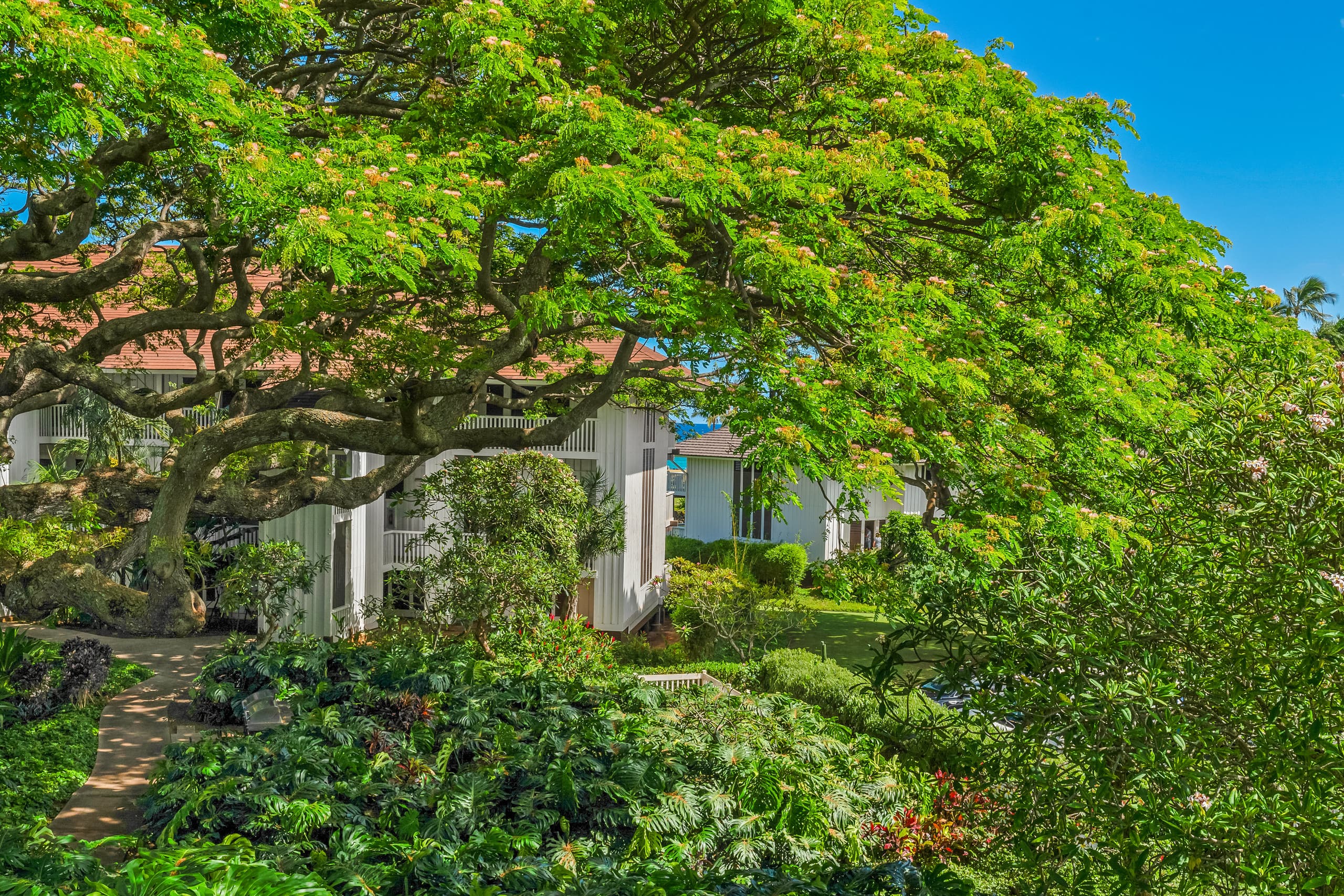 Condo in Koloa · ★4.87 · 2 bedrooms · 4 beds · 3 baths - Photo 13