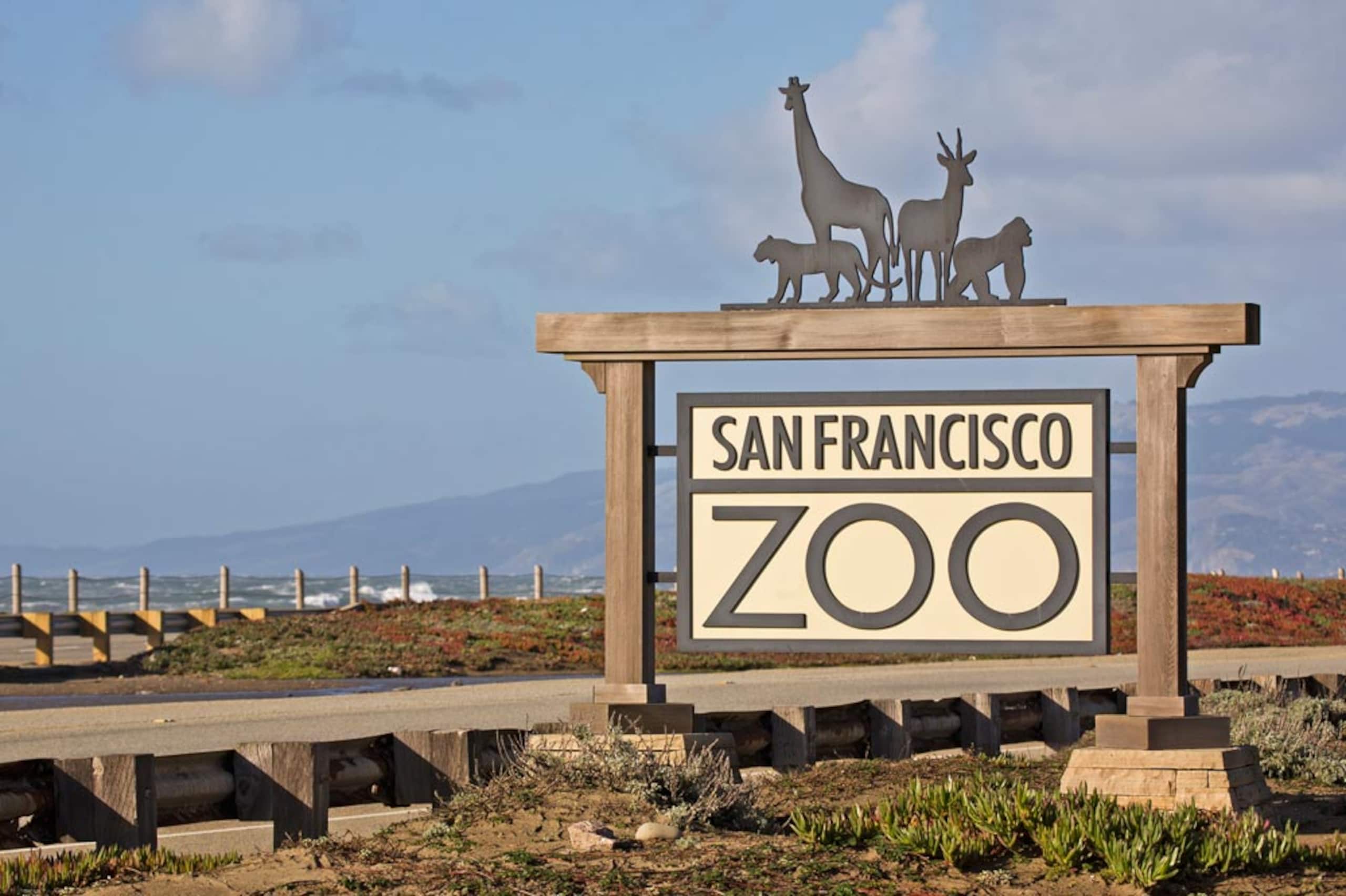 Home in San Francisco · ★4.98 · 3 bedrooms · 4 beds · 1 bath - Image 37